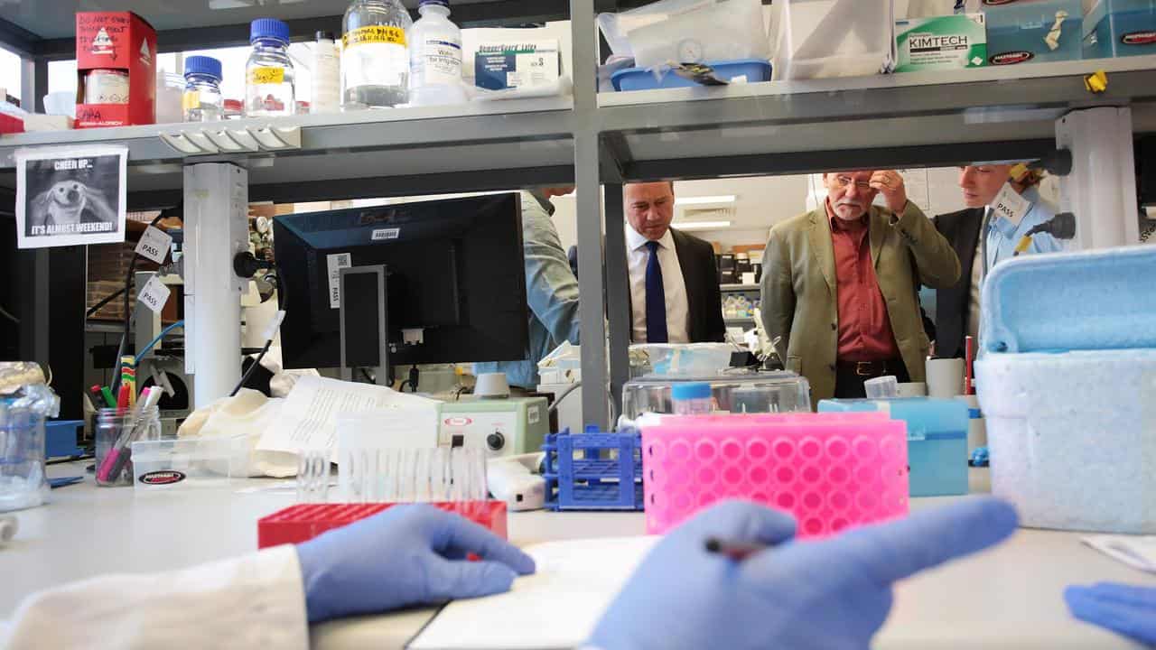 Diabetes reserachers at St Vincent's Institute of Medical Research.