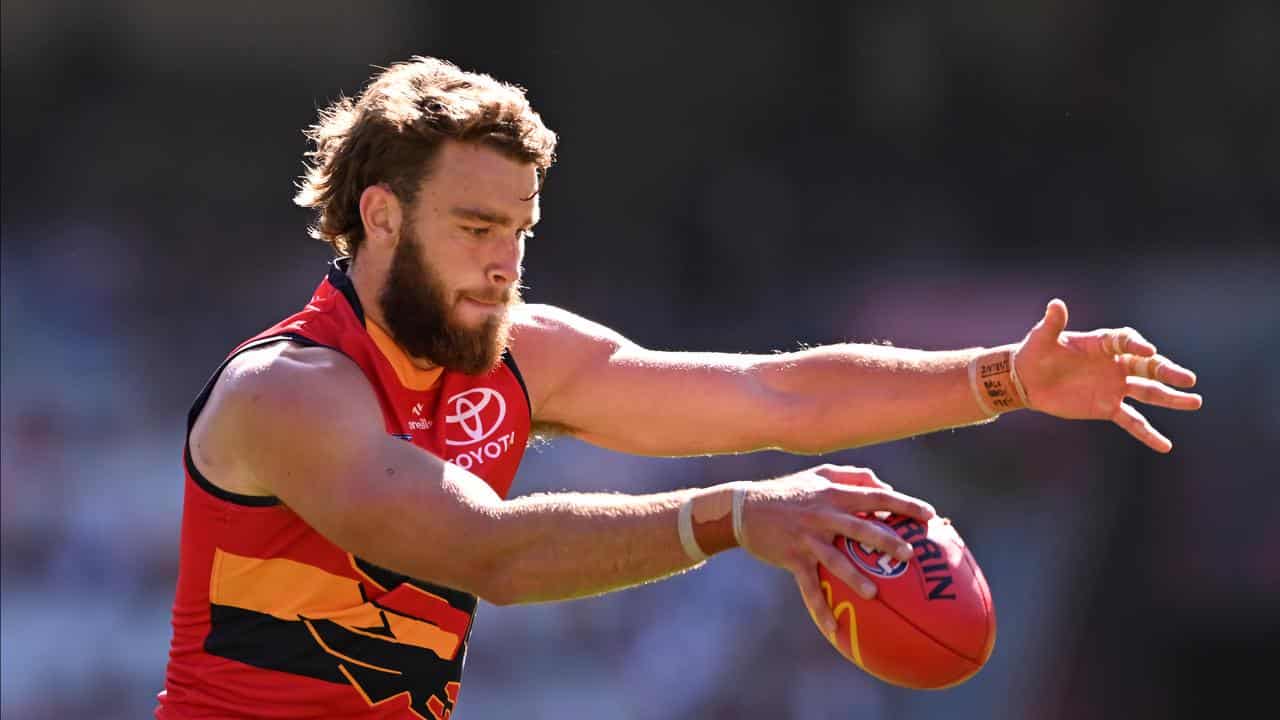 Riley Thilthorpe