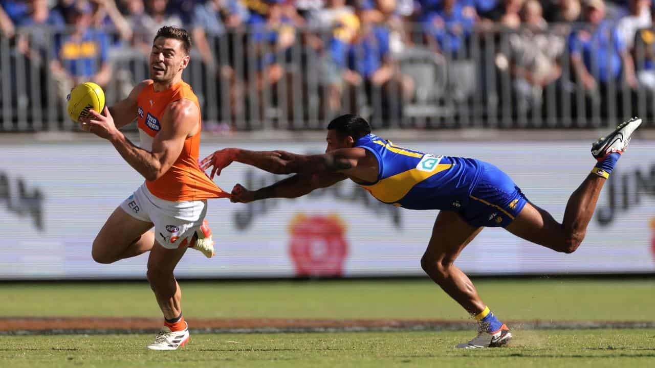 Stephen Coniglio