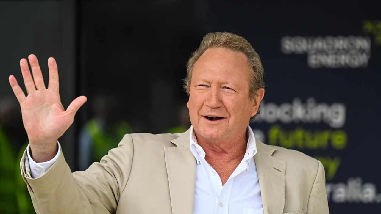 Australian businessman Andrew Forrest