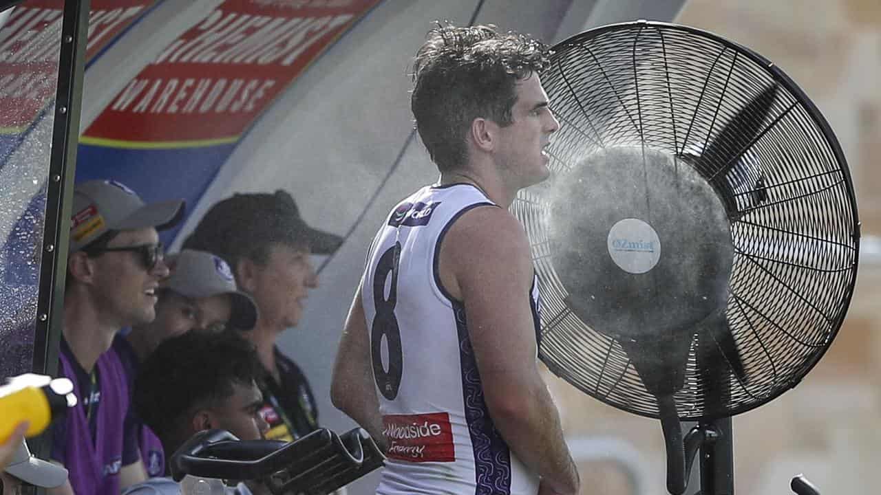 Fremantle's Andrew Brayshaw