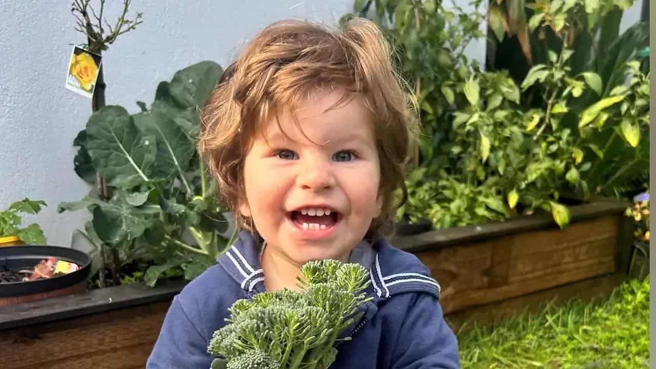 Toddler Joe Massa