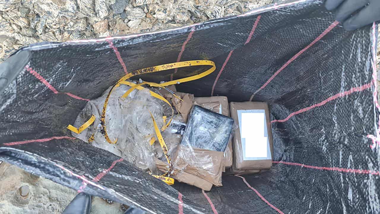 Some of washed up cocaine bricks (file)