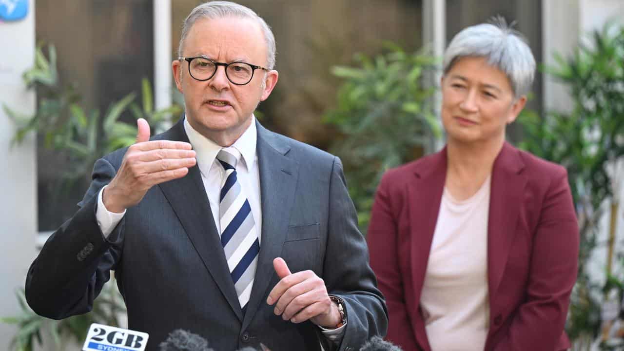 Anthony Albanese and Penny Wong (file image)