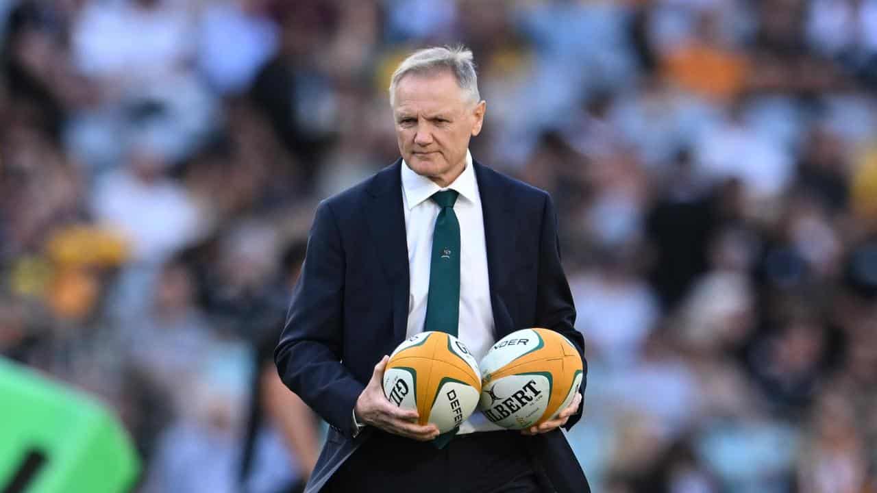 Joe Schmidt