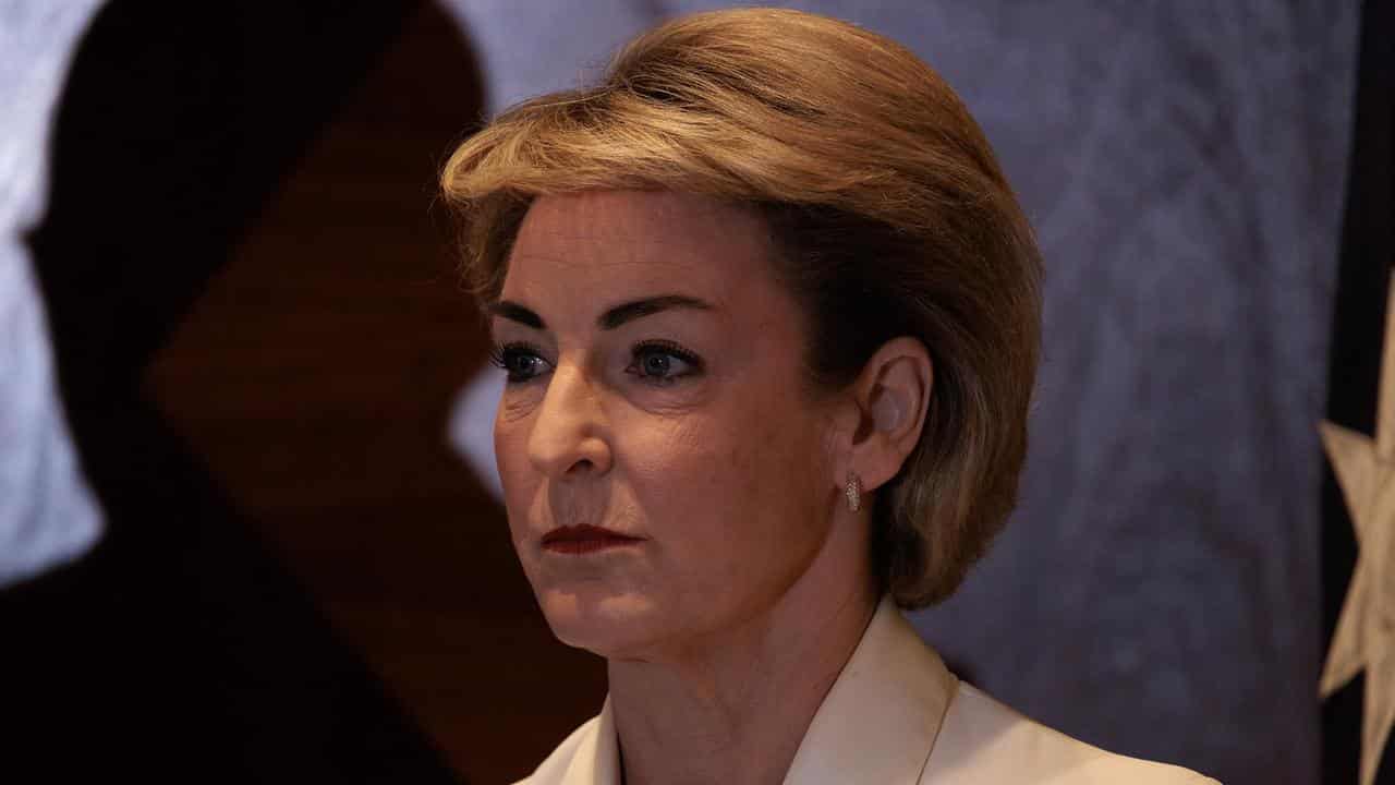 Michaelia Cash (file image)