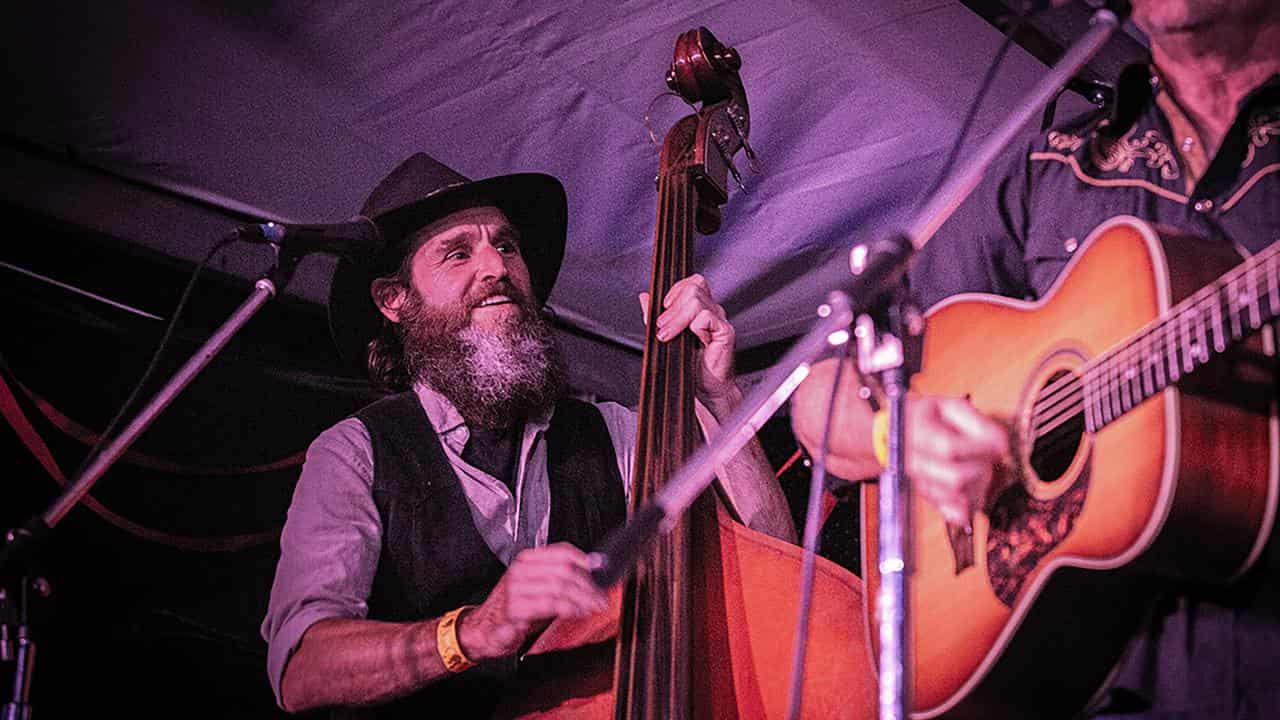 A musician plays at the St Albans Folk Festival