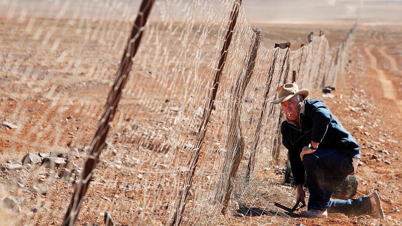 State Barrier Fence (file)