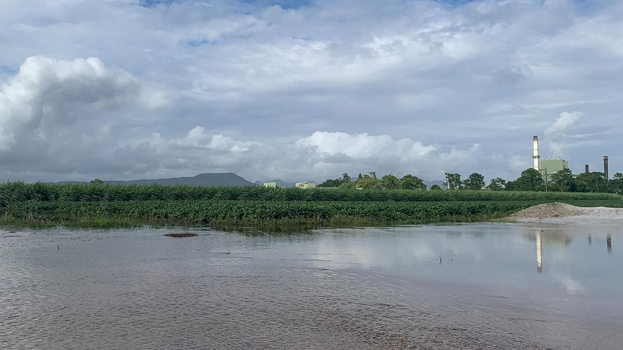 Floodwaters in the Tweed Valley, NSW (file)