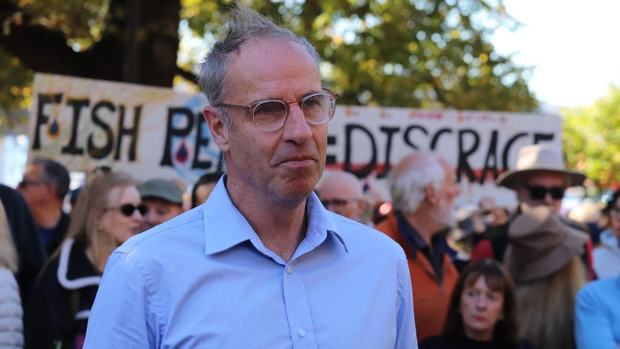 Greens Senator Nick McKim and anti-salmon protesters