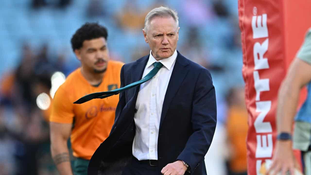 Joe Schmidt