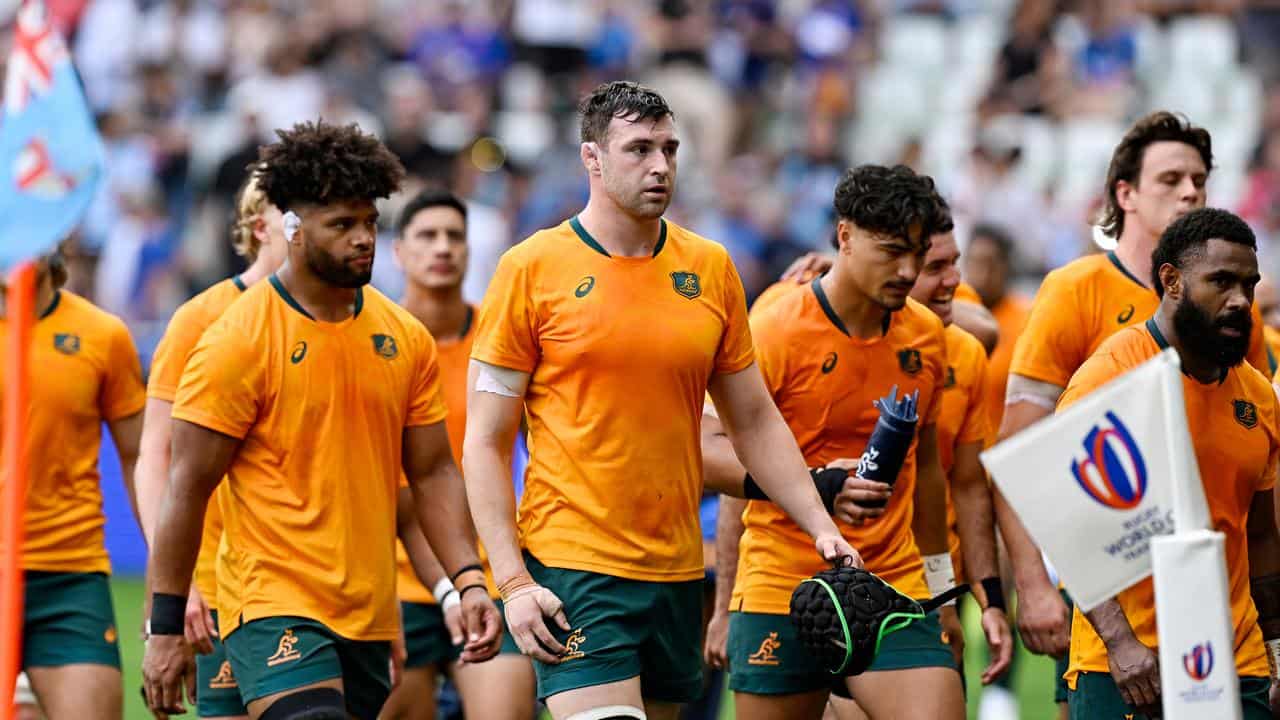 Wallabies