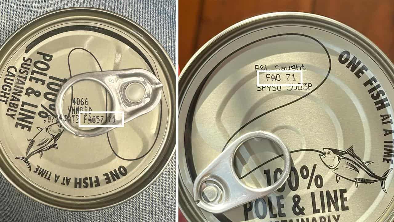 Canned tuna (file)