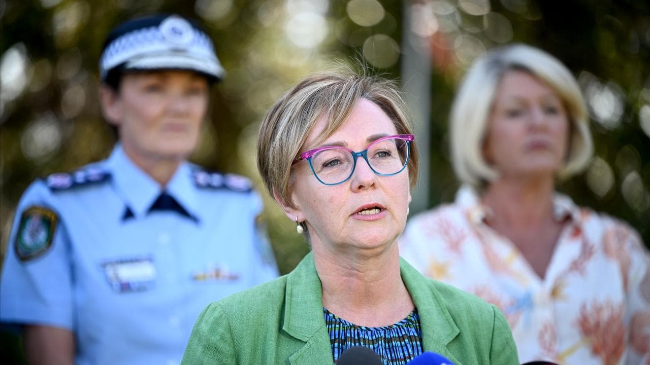 NSW Minister for the Prevention of Domestic Violence Jodie Harrison