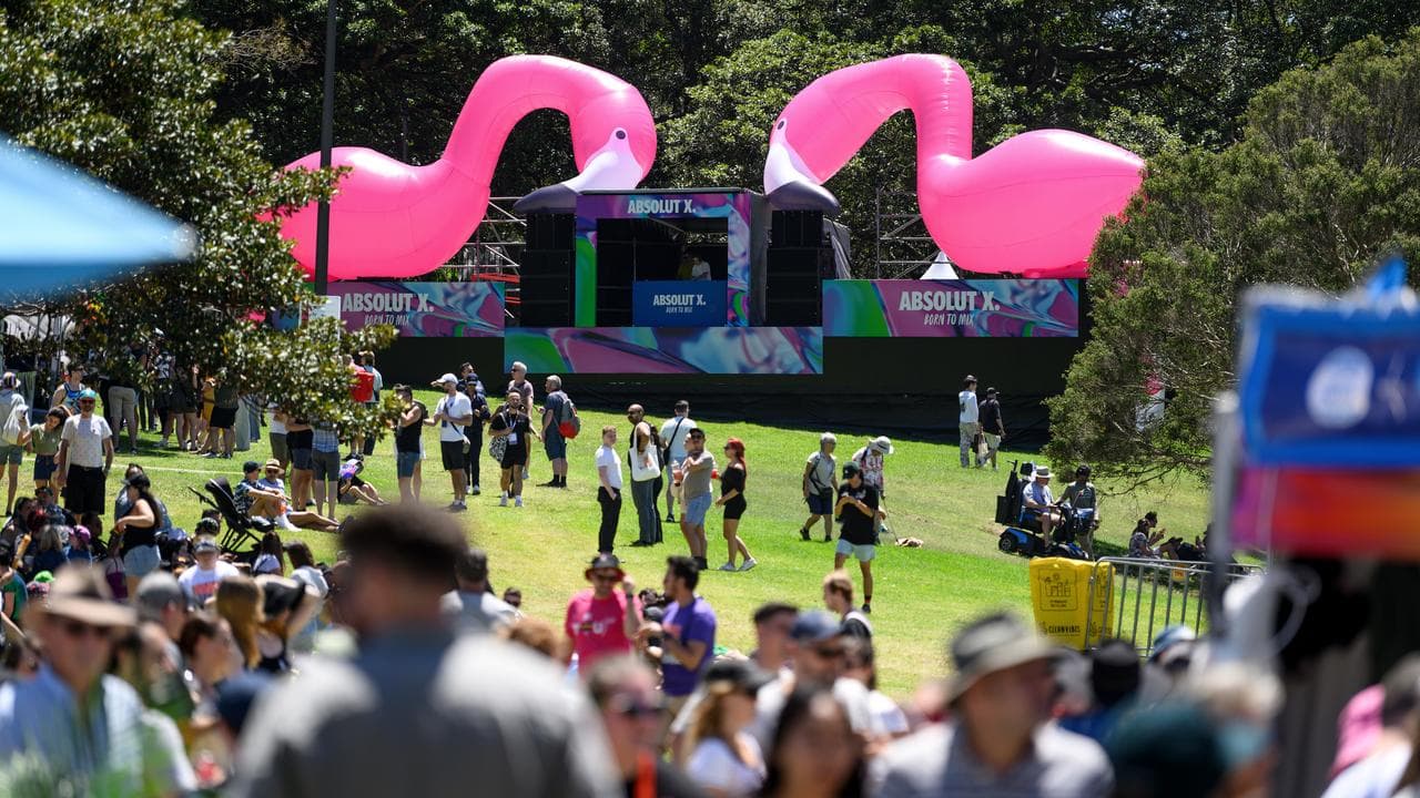 Mardi Gras Fair Day