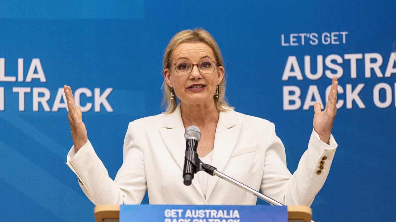 Deputy Liberal leader Sussan Ley