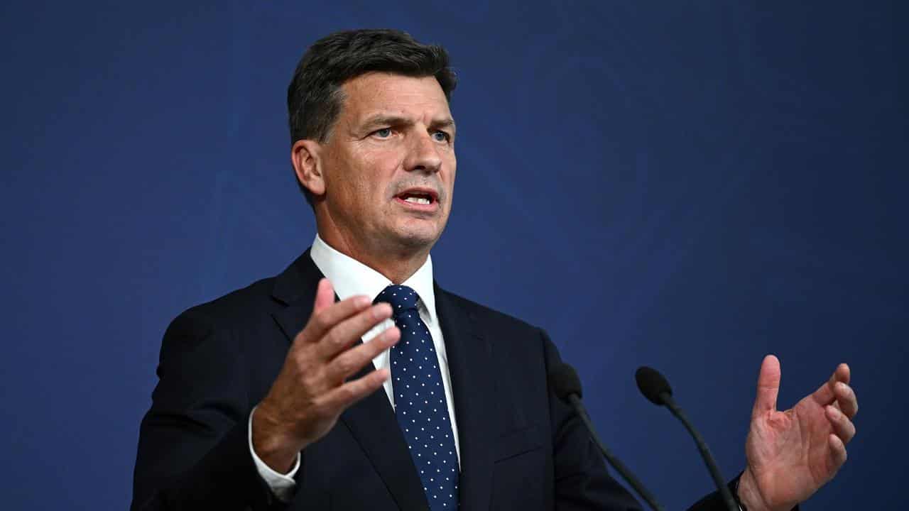 Shadow treasurer Angus Taylor