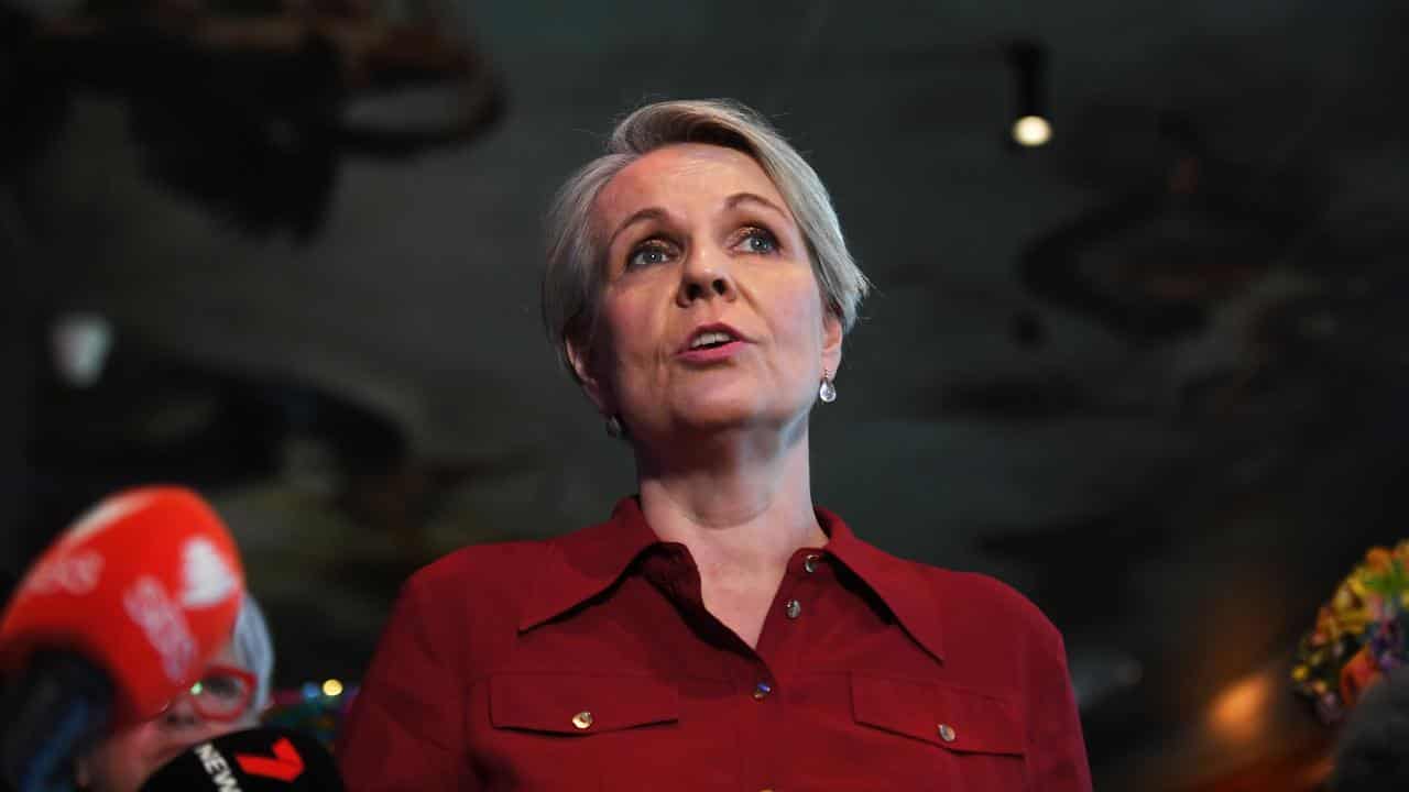 Tanya Plibersek (file image)