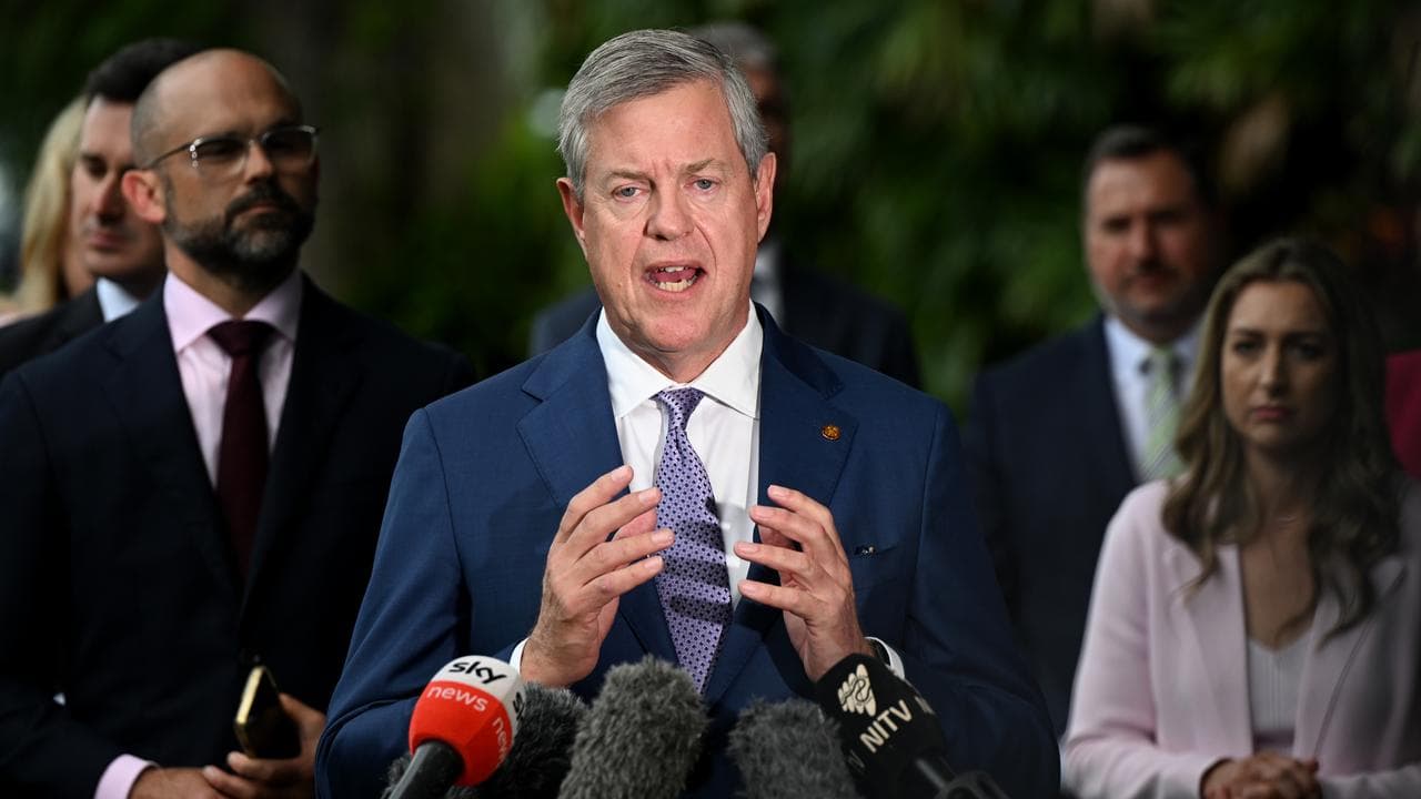 Health Minister Tim Nicholls (file image)