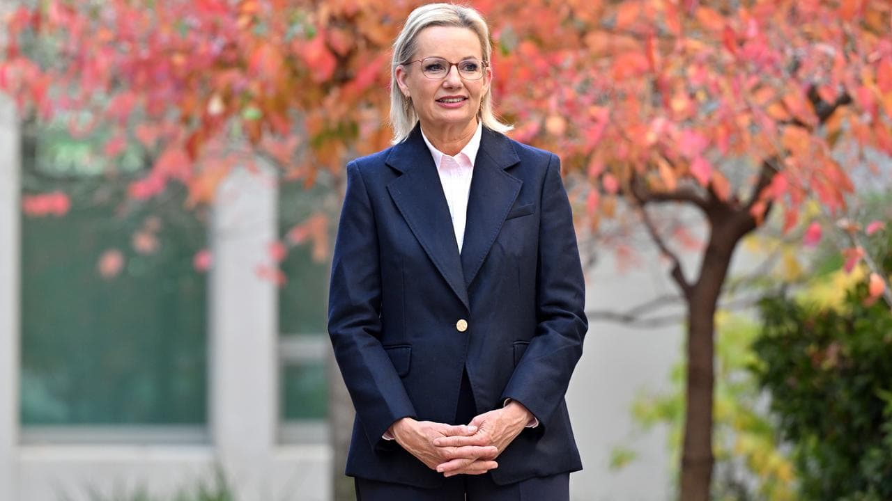 Liberal leader Sussan Ley (file image)