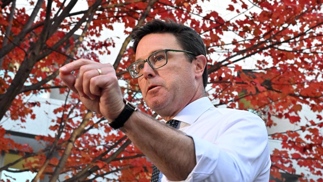 Nationals leader David Littleproud