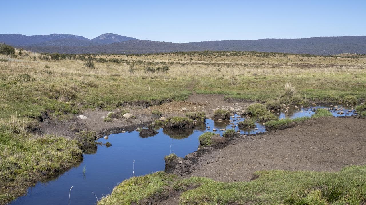 A waterway before the reduction of feral brumby numbers