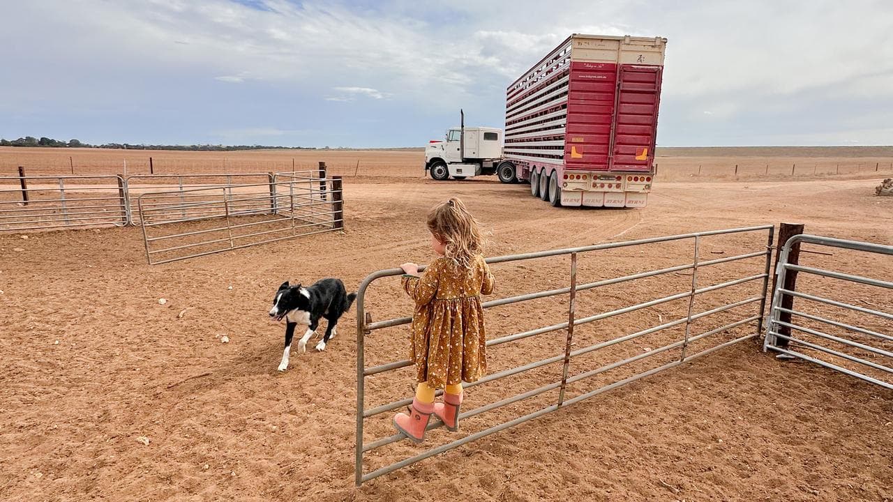 A girl climbs a fence at Cassie Oster's family farm in Jabuk, SA