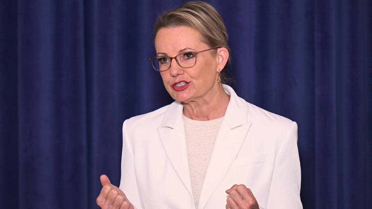 Liberal leader Sussan Ley