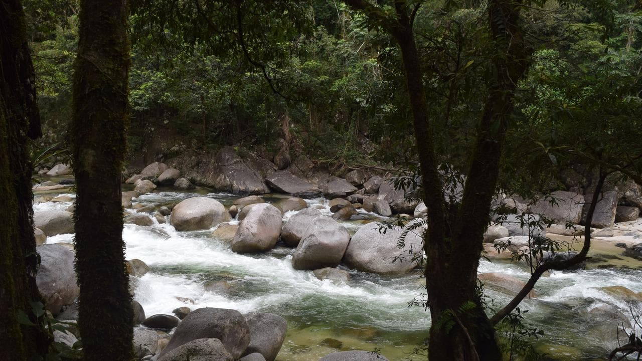 The Mossman River in the world heritage-listed Daintree Rainforest