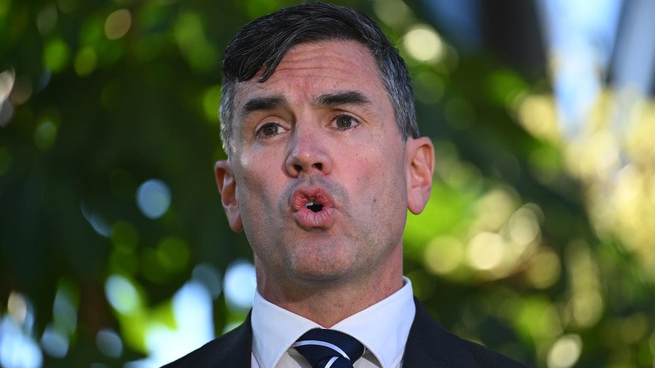 Victorian Opposition Leader Brad Battin