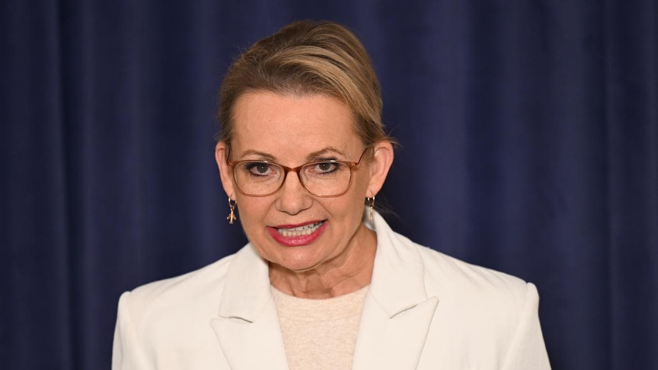 Liberal leader Sussan Ley (file image)