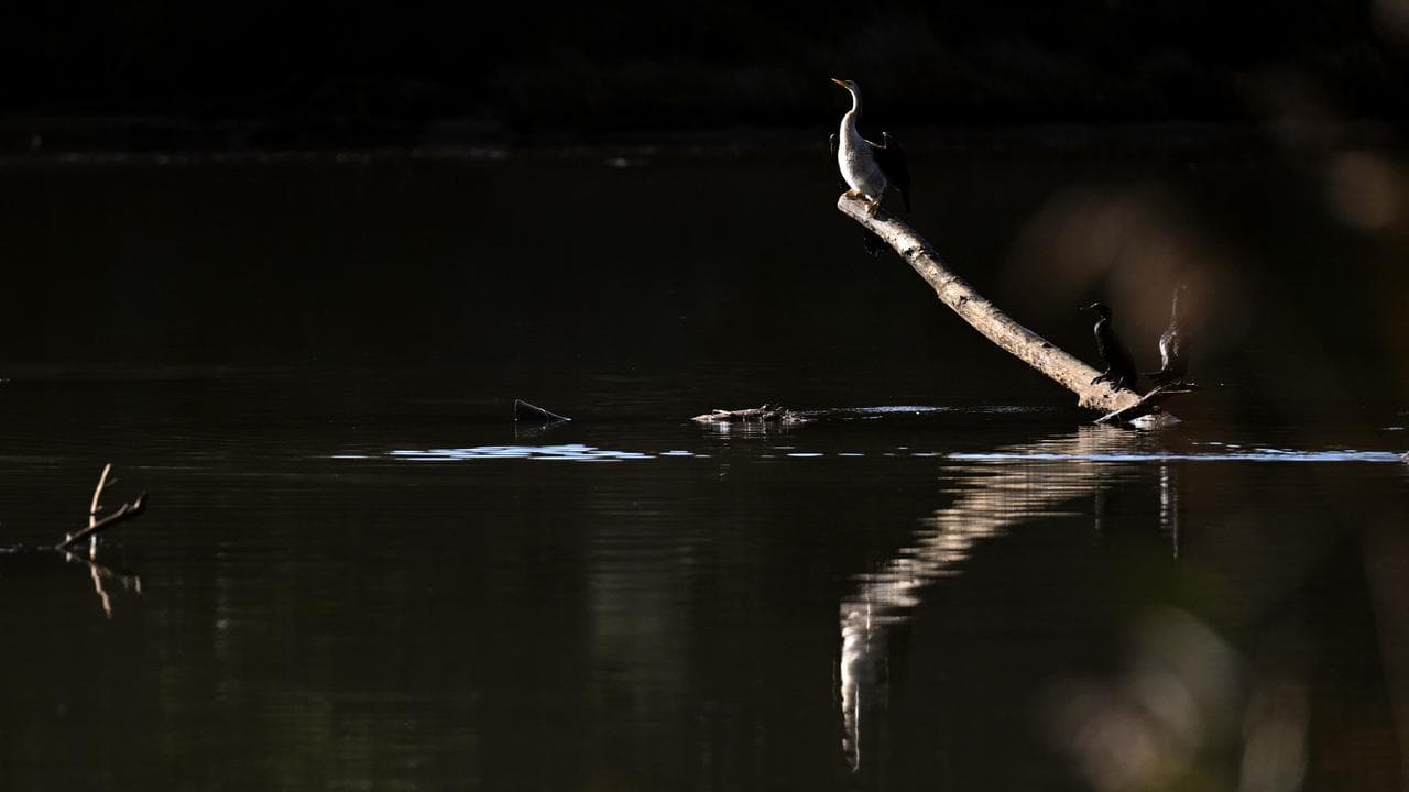 Puckey’s Lagoon, Wollongong