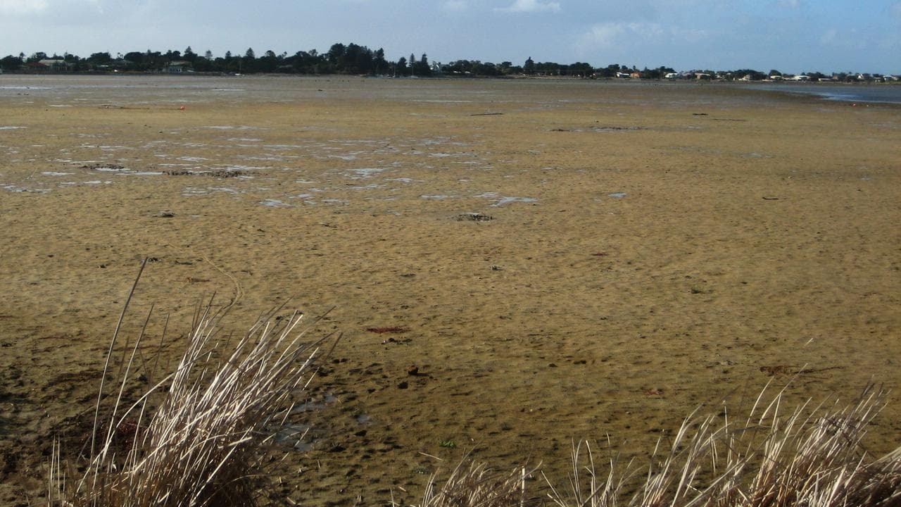 A dried up wetland at Goolwa, South Australia