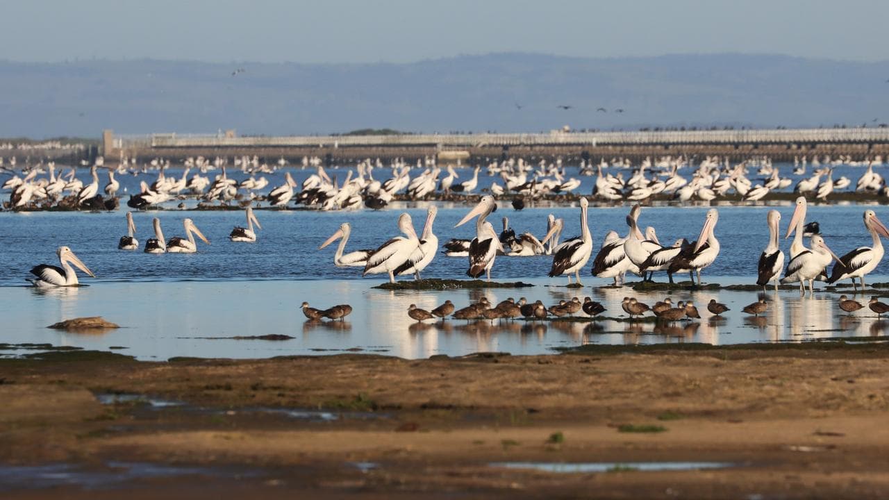 The Coorong Lagoon in South Australia