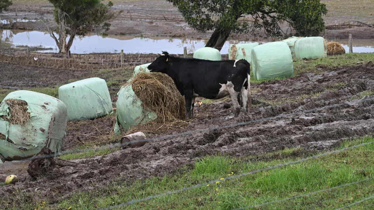 Flood-ravaged farm