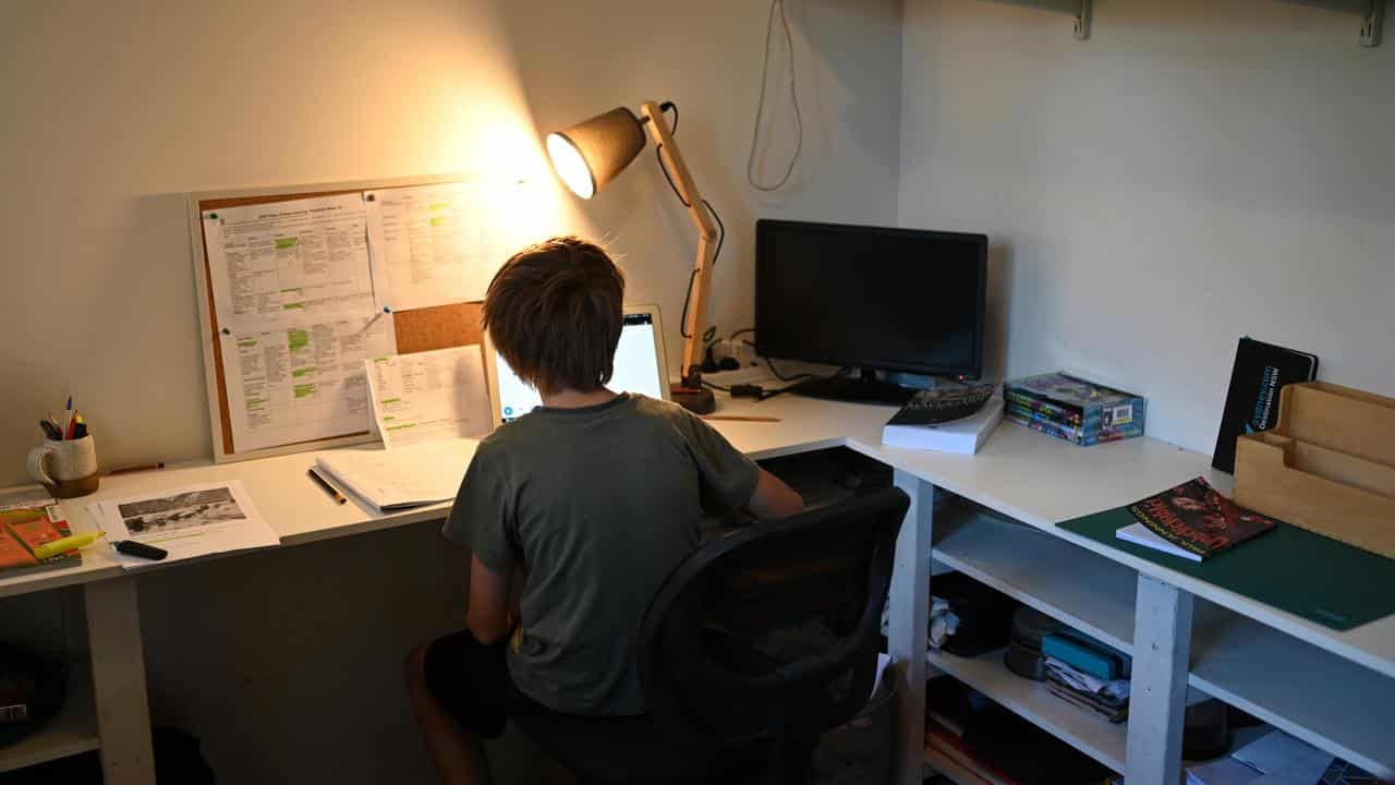 Boy uses computer