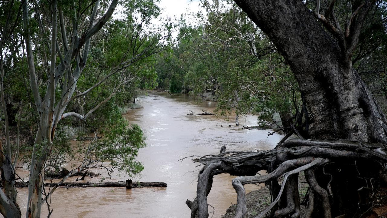 The Namoi River (file image)