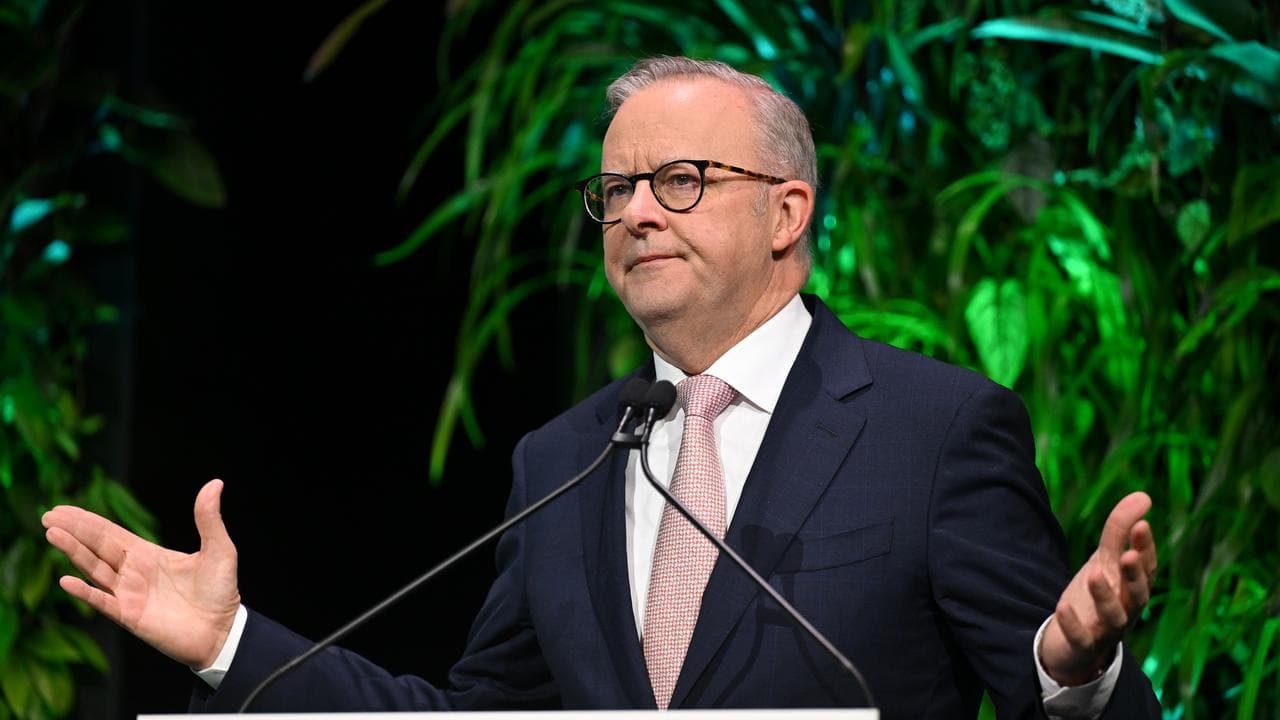 Prime Minister Anthony Albanese