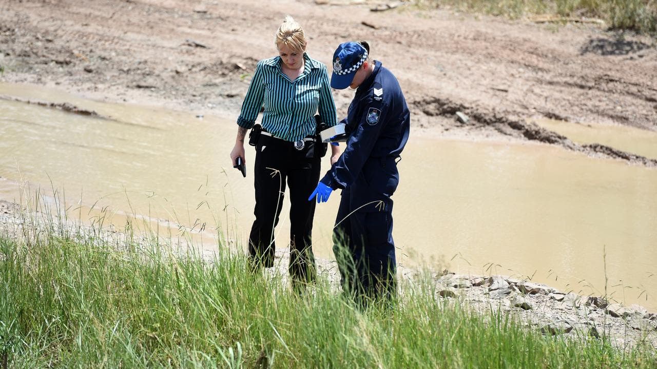 Police examine the scene where the two bodies were found (file image)