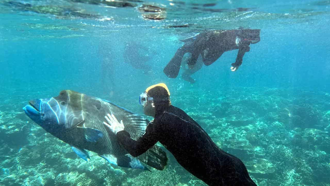 Moore Reef (file)