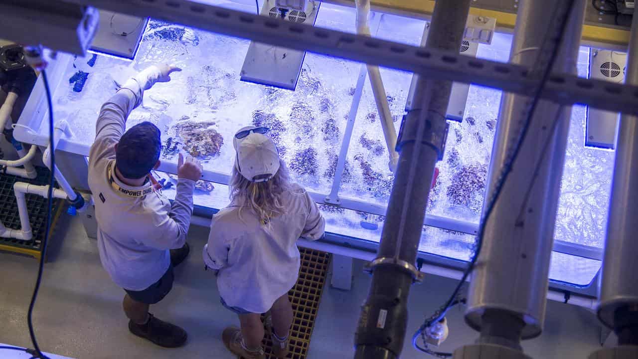 Researchers from Minderoo Foundation