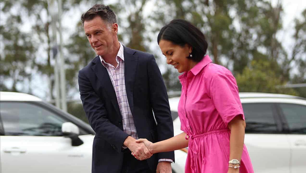 Deputy Premier, Prue Car and Premier of New South Wales, Chris Minns