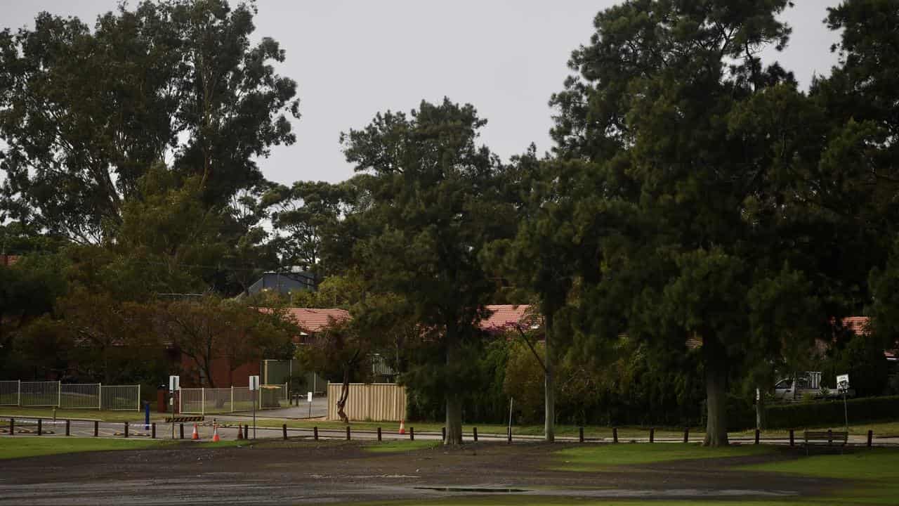 Fields soaked with sewage