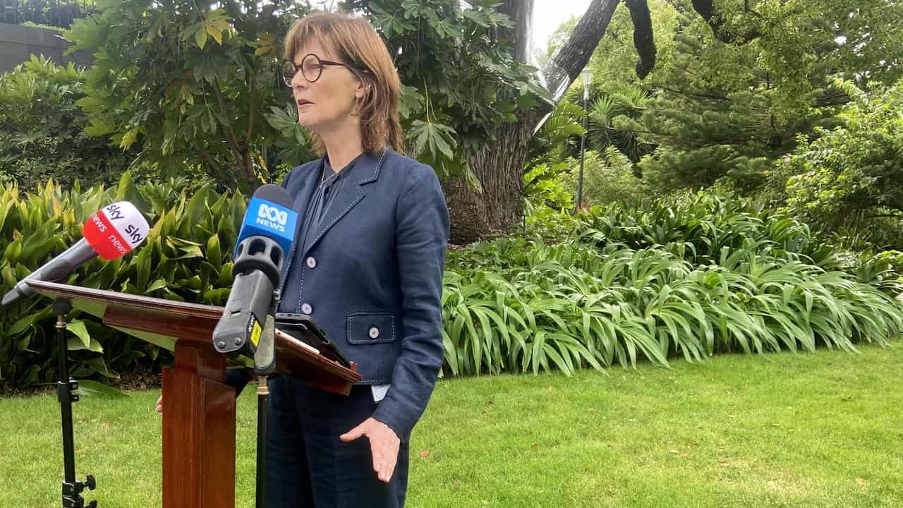 Victorian Health Minister Mary-Anne Thomas s