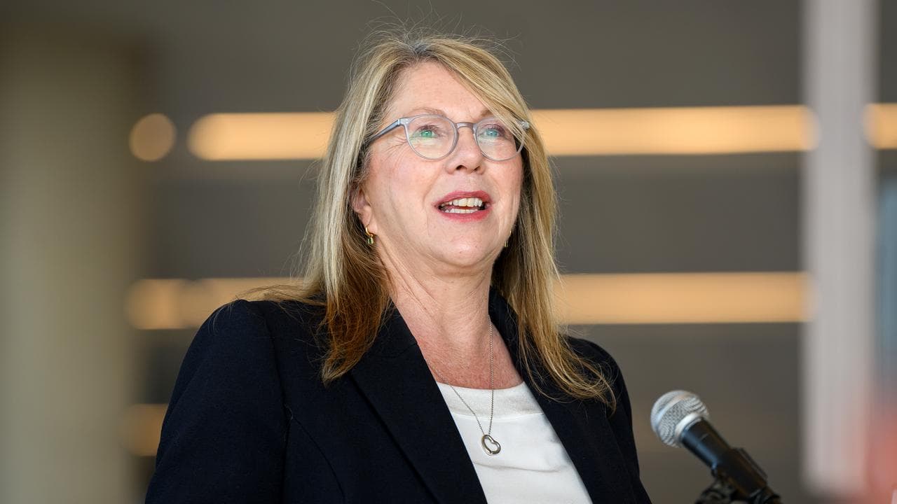 Catherine King (file image)