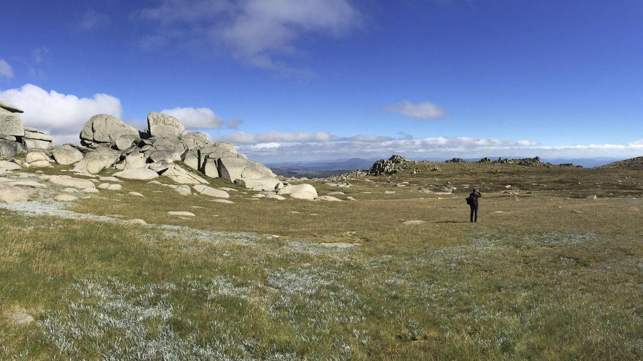 Eric Warrant near caves where Bogong moths hibernate