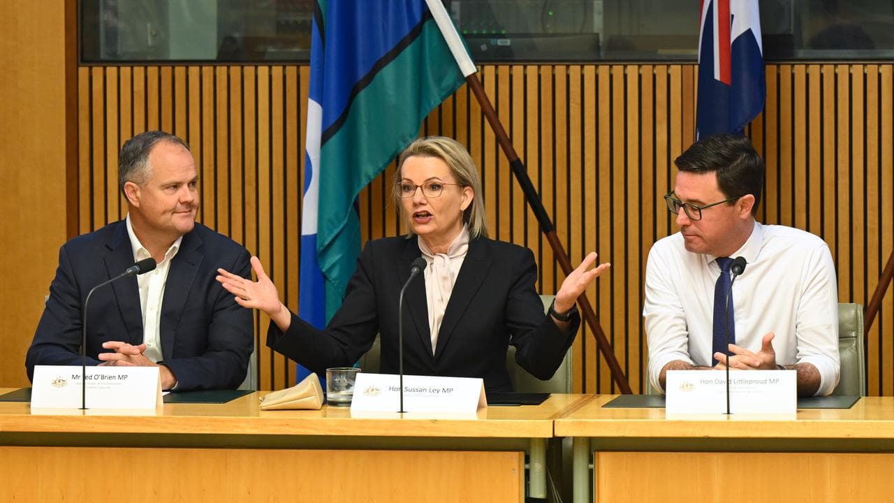 Sussan Ley