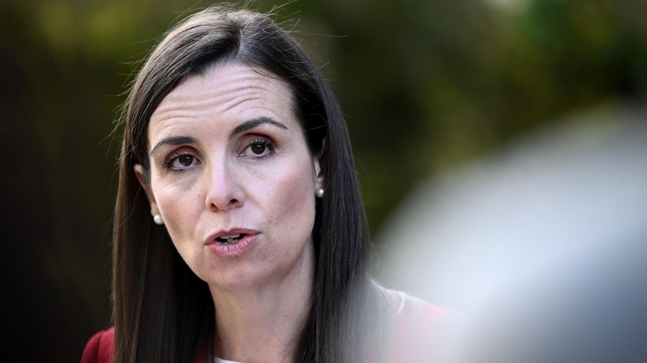 Courtney Houssos (file image)