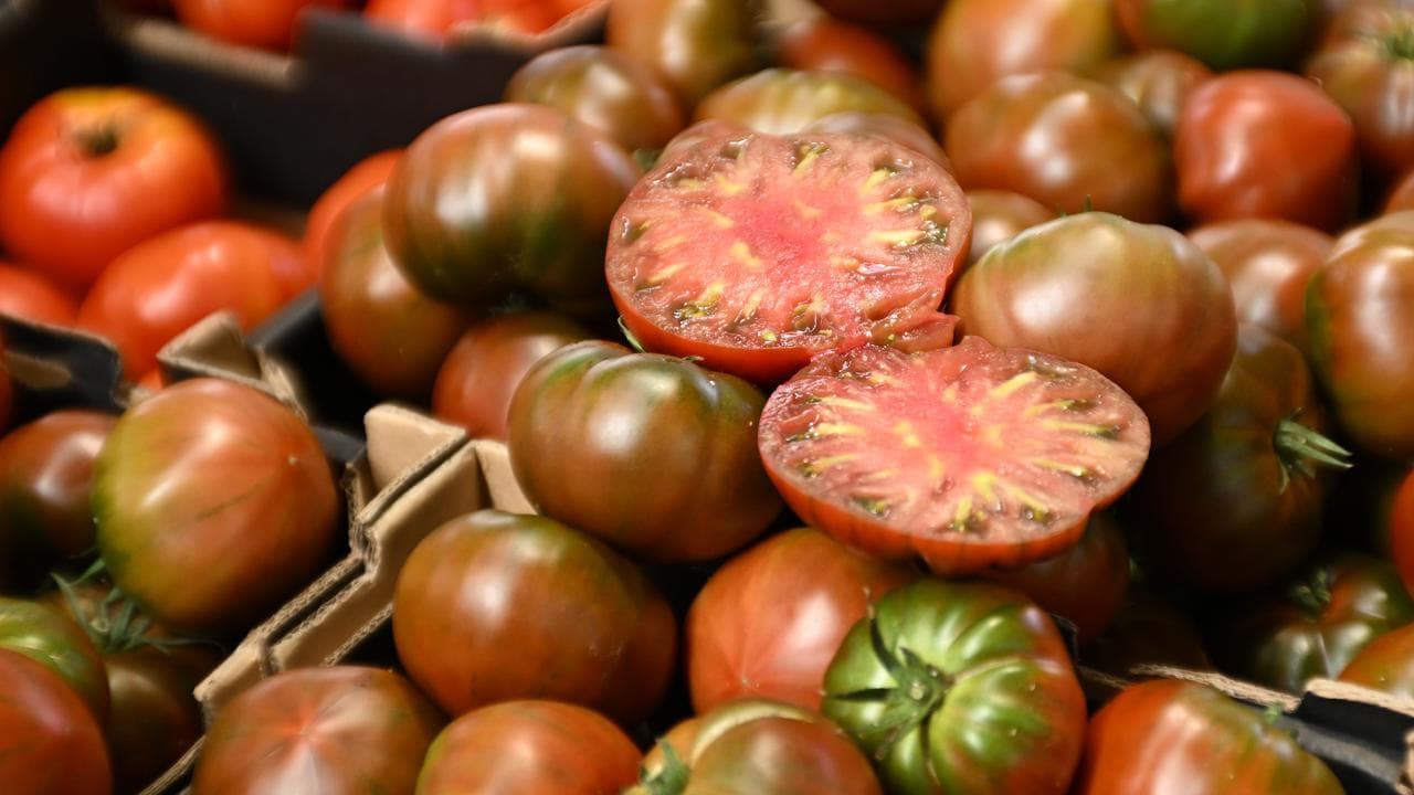 Tomatoes (file)