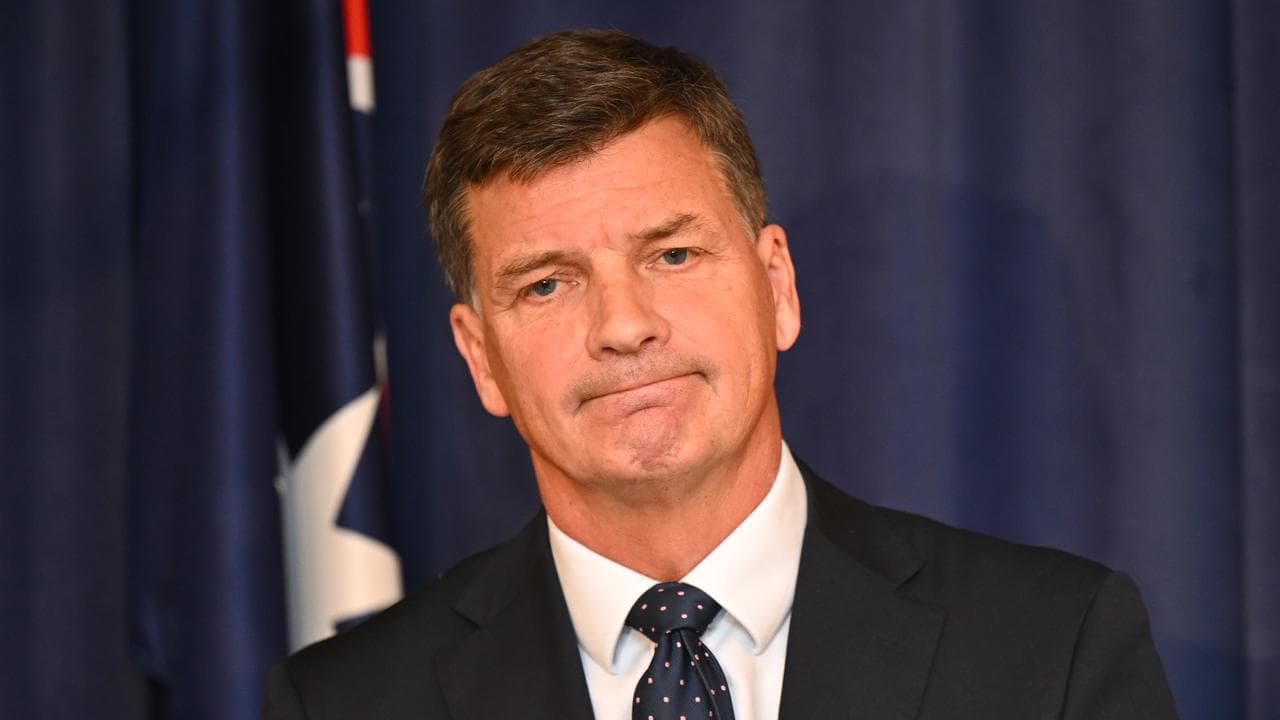Angus Taylor